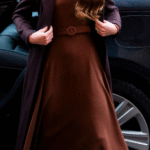 The Princess of Wales Custom Brown dress